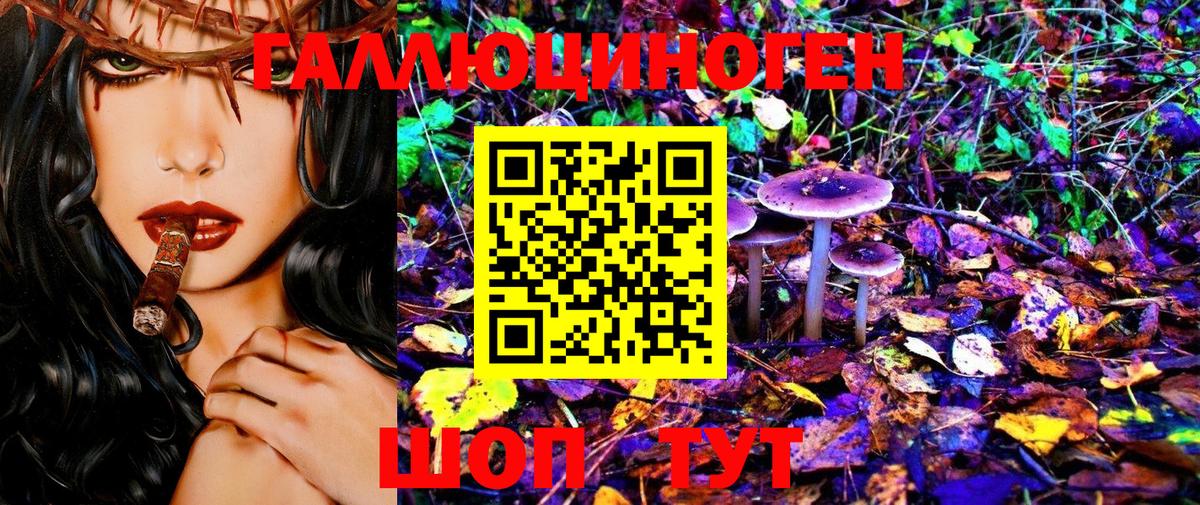 Галлюциногенные грибы Psilocybine cubensis Санкт-Петербург